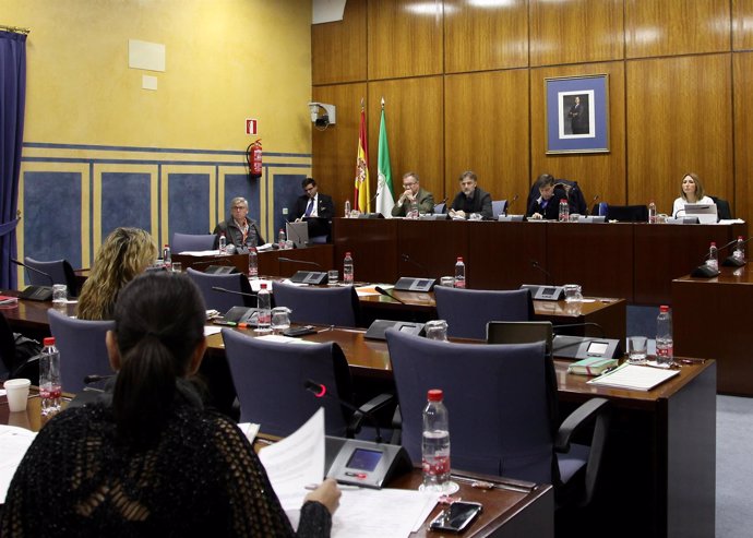 Comisión de Medio Ambiente y Ordenación del Territorio del Parlamento andaluz