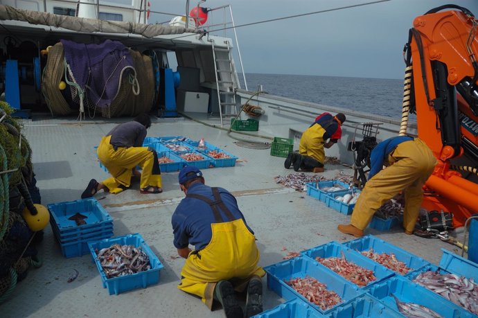 Pesca en el Cantábrico