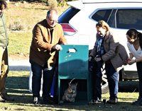 Seis nuevas sueltas coronan a los Montes de Toledo como el territorio con más nacimientos de linces y hembras asentadas