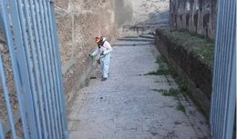 Trabajos de limpieza en la muralla de la Macarena