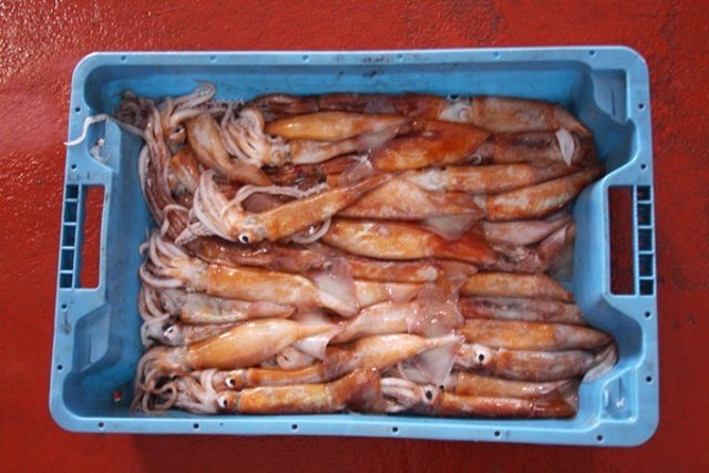 Caixa de cananes a Vilanova