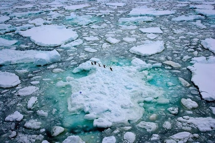 Greenpeace pide un Santuario Antártico tres veces el tamaño de España