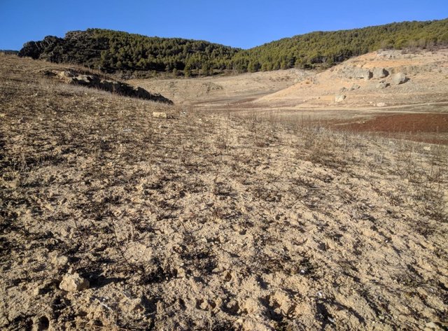 Terreno yermo por los efectos de la sequía