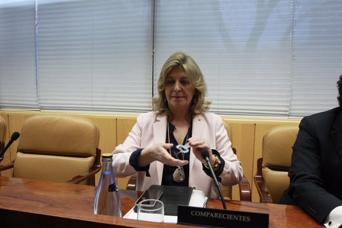 Engracia Hidalgo en la comisión contra la corrupción de la Asamblea de Madrid