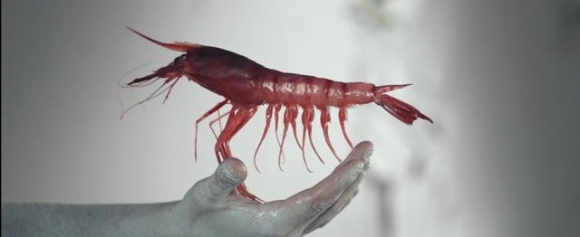 Un momento del vídeo 'Sal'