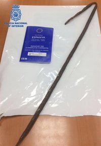 Detenido un hombre por maltratar a su perro con una barra de hierro en Palma