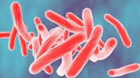 Una nueva vacuna contra la tuberculosis en fase clínica induce una respuesta inmune superior a la actual vacuna 