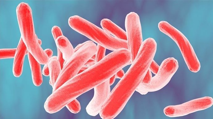 Nueva cepa multirresistente de tuberculosis