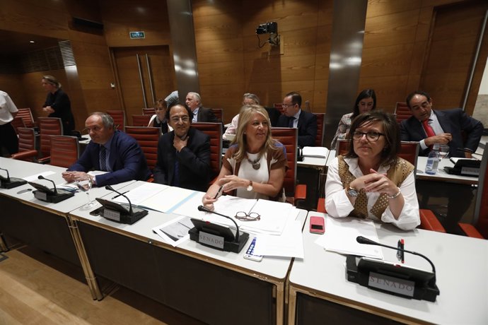 Comissió de Investigació sobre el finançament dels partits al Senat