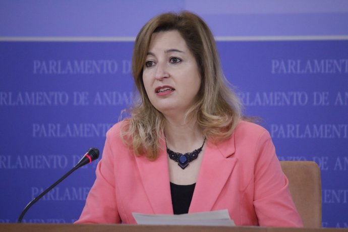 La parlamentaria de Podemos Andalucía Carmen Lizárraga