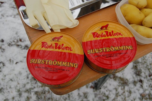 Surströmming-Neuerkirch01