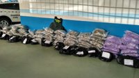 Dos detenidos tras interceptarse una furgoneta con más de 80 kilos de marihuana en la A-92N en Gor (Granada)