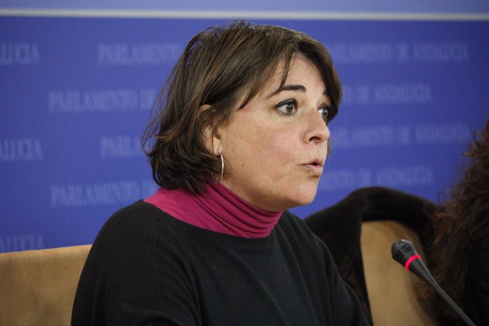 La portavoz adjunta del grupo parlamentario de IULV-CA Elena Cortés 