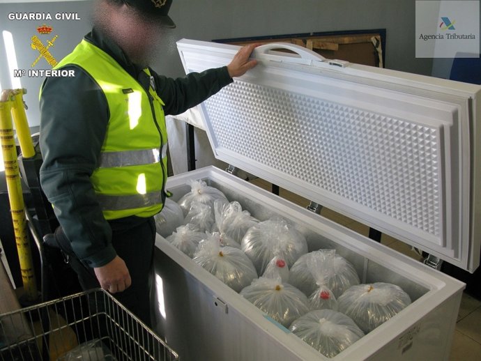 Arcón con angulas interceptadas en Melilla