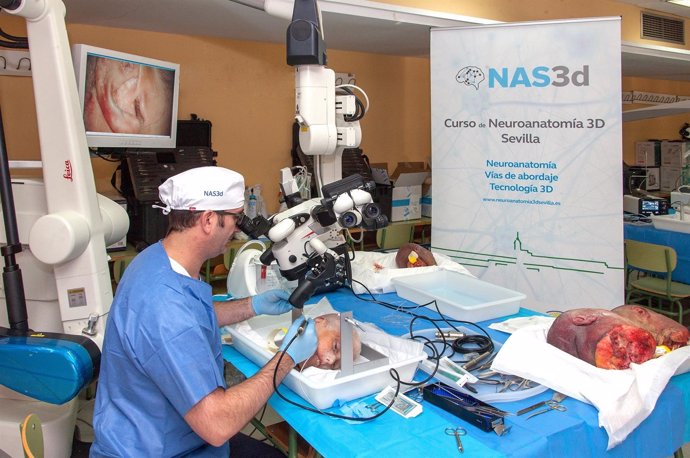 Neurocirujanos se forman en Neuroanatomía en el Hospital Virgen del Rocío