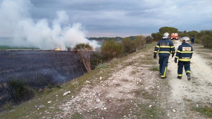 Incendio en la carretera Guadalcacín-Nueva Jarilla, en Jerez (Cádiz)