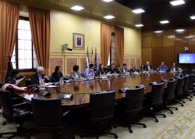 Reunión del grupo de trabajo sobre financiación autonómica en el Parlamento