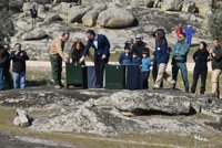 Se elevan a 39 los linces que viven en libertad en Extremadura, tras la suelta de dos nuevos ejemplares en Don Benito