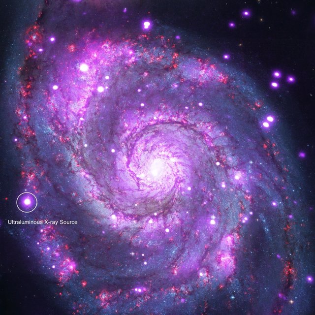 Imagen de la galaxia Whirlpool y de un ULX