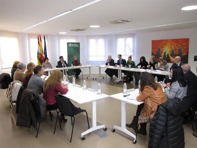 Reunión Comisión Institucional Violencia Doméstica                            