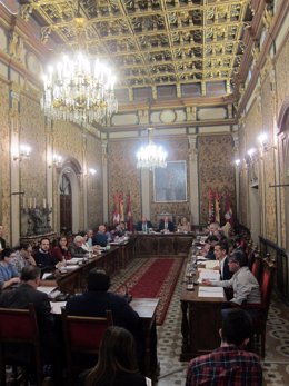    Pleno De La Diputación De Salamanca                           