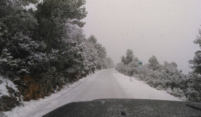 Nieve caída en las últimas horas 