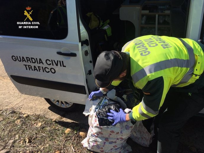 Marihuana intervenida por la Guardia Civil. 