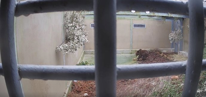 Vídeo de la noticia