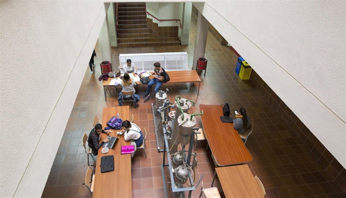 Estudiantes de la ULL