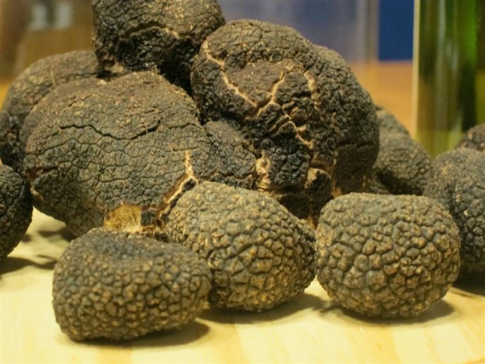 Trufa negra de Aragón