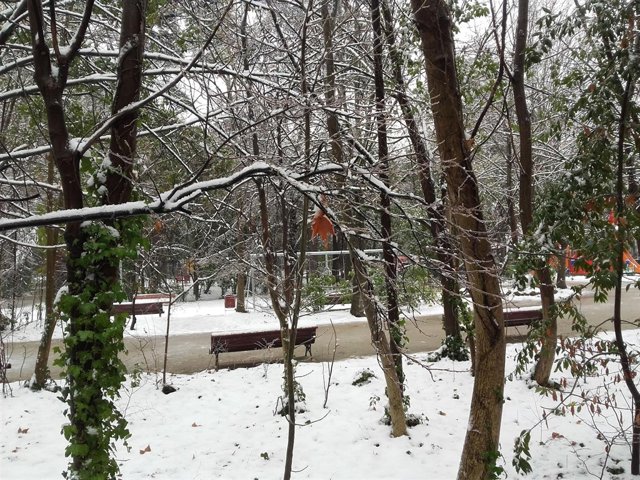 El Campo Grande de Valladolid, nevado