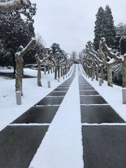 Nieve en Oviedo