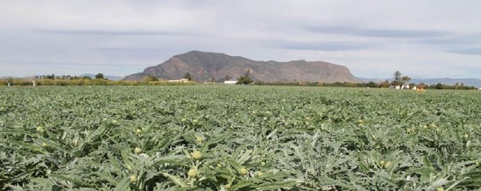 Un paisaje de la Vega Baja