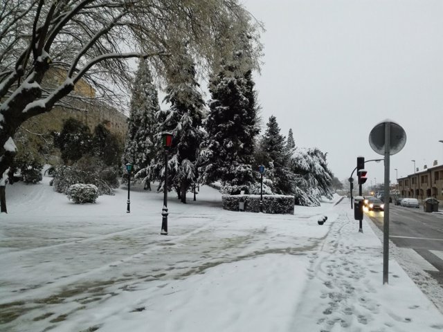 Nieve caída en Zamora