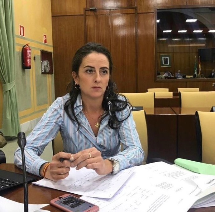 La diputada del PP-A Aránzazu Martín