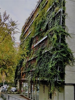 Centro de mayores de Pez Austral 