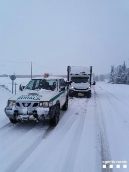 Carretera nevada, nieve, camiones