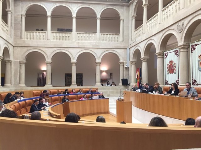Pleno del Parlamento de La Rioja