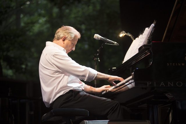 El pianista belga Wim Mertens.