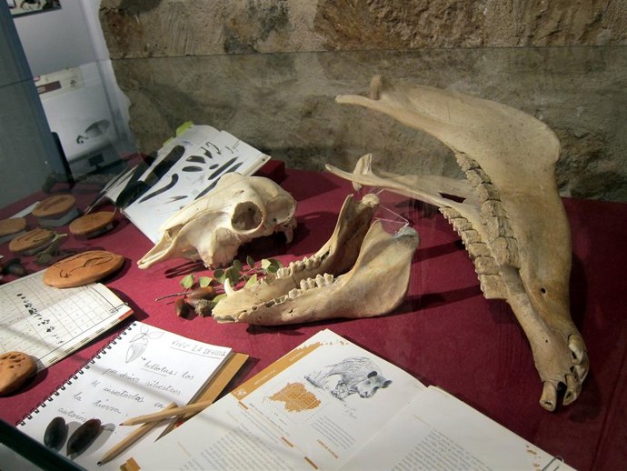  Expositor De La Muestra 'Vive La Dehesa' .                               