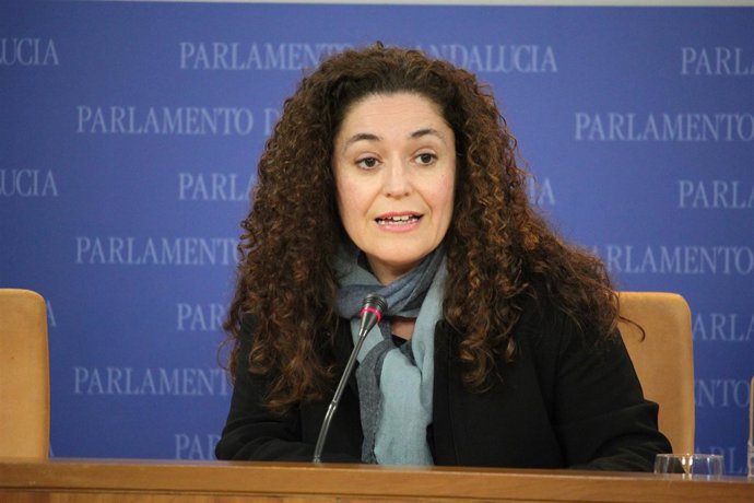 La portavoz adjunta de IULV-CA Inmaculada Nieto en rueda de prensa