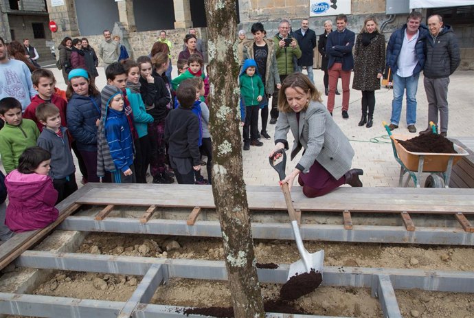 Plantación del retoño del Arbol de Gernika en Zizurkil.