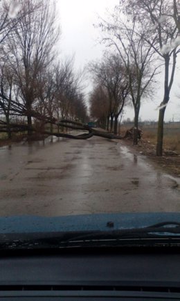 Tornado en Villarrubia