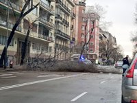 Los Bomberos del Ayuntamiento han salido más de 120 veces por los daños ocasionados por la lluvia y el fuerte viento