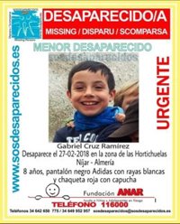 Zoido desvincula la desaparición de Gabriel de un detenido por quebrantar orden de alejamiento