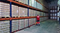 Cruz Roja distribuirá este mes en la provincia de Málaga 670.000 kilos de alimentos