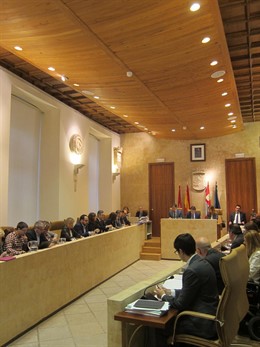 Pleno del Ayuntamiento de Salamanca este viernes                               