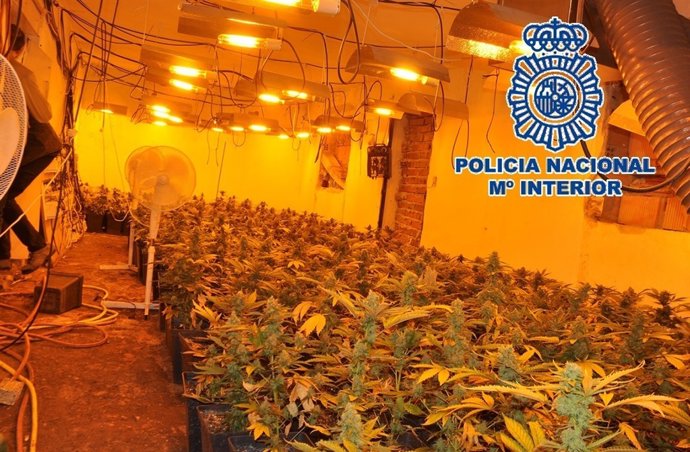 Policía Nacional Nota De Prensa Y Enlace A Vídeo (La Policía Nacional Desmantela