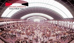 Mercado Nacional de Ganados