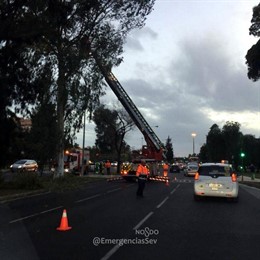 Incidencias provocadas por el temporal en Sevilla capital